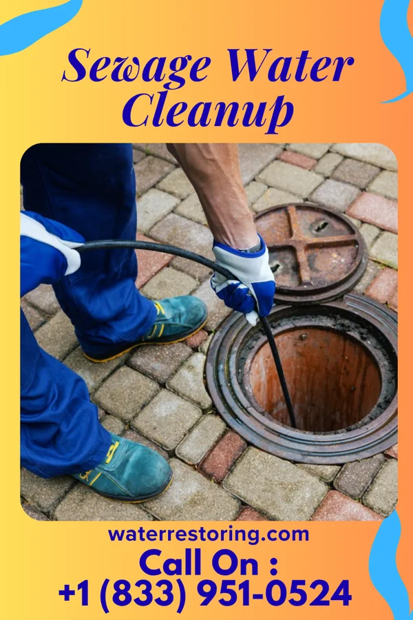 Sewage Water Cleanup in Rio Rancho Estates, NM